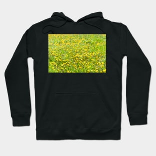 Dandelions Hoodie